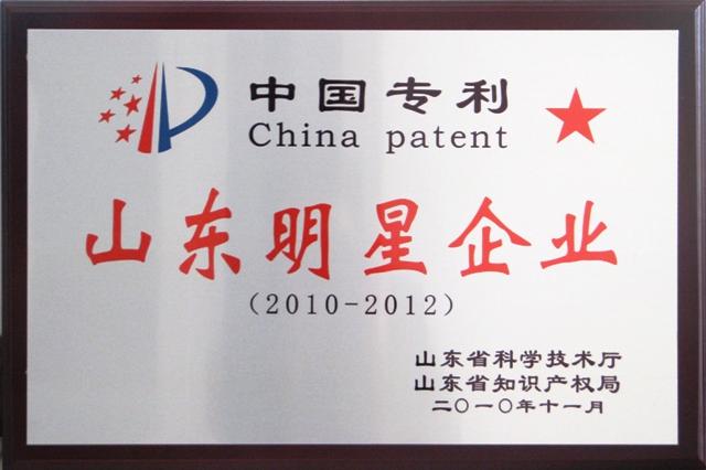 中國專利山東明星企業
