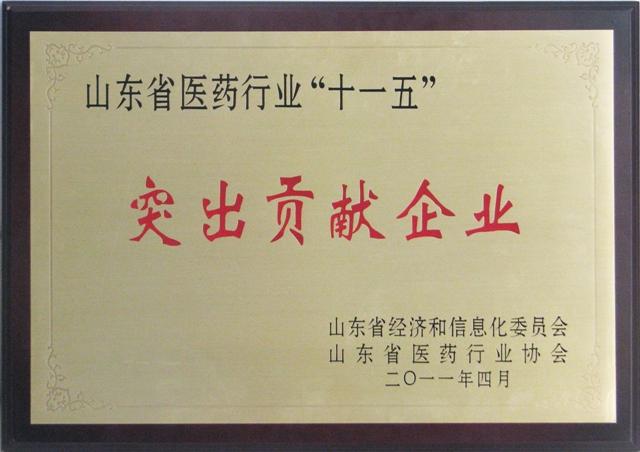 山東省醫藥行業“十一五”突出貢獻企業